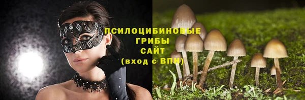 винт Каменка